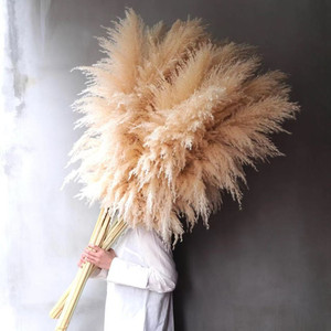 Wholesale Boho Wedding Decor Large Plume Dry Pampas Natural Real Preserved Feather <strong>Dried</strong> Pampas Artificial <strong>Plants</strong> - Product Image 1