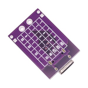 Modulo Scheda di Alimentazione USB-PD per Notebook con Rilevatore di Falsificazioni e Trigger di Ricarica Rapida QC AFC PD2.0 PD3.0 DC Type-C - Product Image 2