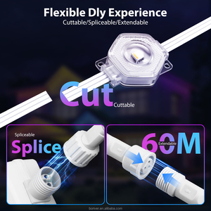 Luci <span class=keywords><strong>Led</strong></span> esterne permanenti 24v <span class=keywords><strong>Led</strong></span> natale vacanze Rgbw punto luce Rgbw <span class=keywords><strong>Led</strong></span> Pixel luce con - Product Image 2