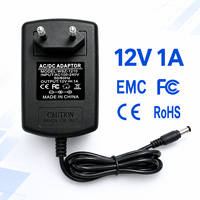 Adaptateur secteur haute efficacité 12W 12V 1A certifié EMC FCC, production personnalisée, pour lampe de bureau et éclairage