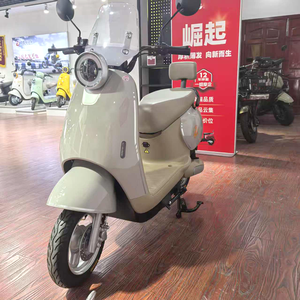 Motocicletta Elettrica dal Design Accattivante, 40-65km/h, 48-60V, Vendita all'Ingrosso Diretta dalla Fabbrica - Product Image 6