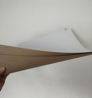 Carton de test en kraft blanc recyclable 110-170GSM Disponible en rouleaux et en feuilles