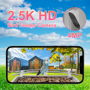 Ikevision กล้อง4MP สำหรับบ้านนก, แบตเตอรี่6เดือนไร้สาย4G วิสัยทัศน์กลางคืนปลุก PIR กันน้ำ NVR พลังงานแสงอาทิตย์สำหรับนก - Product Image 5