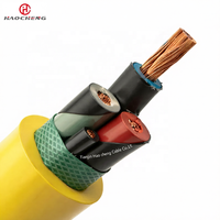 Kabel Daya Fleksibel Berpelindung Tembaga MYP 0.66/1.14kV untuk Penggunaan Mesin Bergerak Tambang Batubara Industri di Bawah Tanah