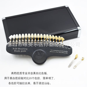 Guía de Tonos Dentales LIFE, 20 Colores con Espejo para Comparación de Blanqueamiento Dental Antes y Después - Product Image 3