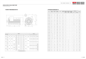 Motor Asíncrono Trifásico Personalizado de Alta Tensión 3KV-13.8KV, Serie Y2, 160kW-2000kW, Eficiencia IE3 - Product Image 5
