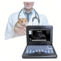 Mesin DP-9900 Mindray 35C50HA Probe Ultrasound Sistem Ultrasound Doppler Veteriner Kelas II Meja Plastik Elektrik Garansi 1 Tahun
