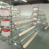 Cage à poules automatique à économie d'énergie de type A, équipement avicole