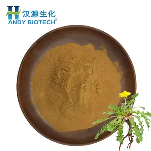 Bulk Organic Herbal Extract Dandelion Root Extract 4% Flavones Powder Dandelion Extract