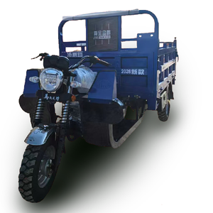 Heavy Agricultural Open Cargo Tricycle Thickened Steel Bed Single Cylinder 4-stroke <b>Gasoline</b> Motorized High Payload Capacity 43 - Product Image 1