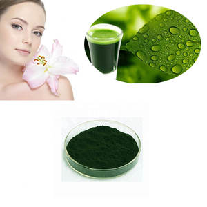 95% Sodium Cuivre Chlorophylline Poudre Naturel À Base De Plantes Mûrier Feuille Extrait - Product Image 4