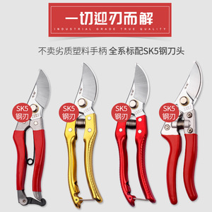 Qiyao <b>Pruning</b> Shears 10 Inches Carbon Steel Blade 5-20mm Trimming Diameter For Fruit <b>Trees</b> Gardening Floral Arrangements - Product Image 4