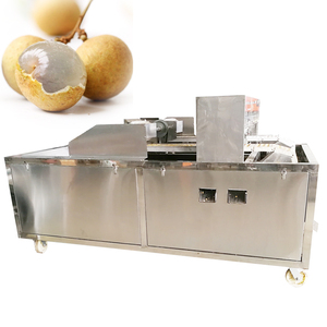 Machine à dénoyaouter les fruits de haute qualité et grande capacité, fabriquée en Chine - Product Image 1
