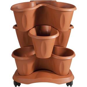 VASE CLOVER : LOT DE 3 VASES + SOUCHEE DE COULEUR TERRACOTTA - Product Image 1