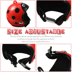 Casco para gallinas <span class=keywords><strong>de</strong></span> granja, protección solar y contra la lluvia, sombrero lindo para gallinas, equipo <span class=keywords><strong>de</strong></span> protección para gallineros al aire libre, divertido para gallos <span class=keywords><strong>de</strong></span> pelea - Product Image 6