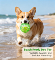 Balle flottante pour chien à facettes de diamant, jouet interactif transparent en TPR rebondissant pour animaux de compagnie, jouet durable pour nettoyer les dents et le jeu de rapport