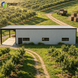 Estructura de Acero de Gran Envergadura Pre-Proyectada para Almacenes Logísticos, Estructura de Portal Galvanizada de Alta Resistencia, Depósito Comercial - Product Image 1