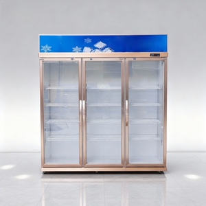 <span class=keywords><strong>Réfrigérateur</strong></span> à boissons de supermarché commercial de haute qualité avec porte en verre, refroidissement direct, refroidisseur à vin mécanique - Product Image 2