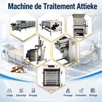 5 TPJ Cassaveverwerkingsinstallaties voor Attiekeproductie, fabriek voor de transformatie van Attieke, cassave couscous maakmachine