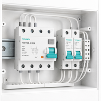 Disjoncteur différentiel TENGEN TGB1NLE-40 D32A D40A 3P 4P 30mA 380V 400V 6kA Courbes B/C/D Certifié CE CB UL