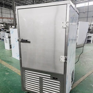 Refrigerador Vertical Comercial Profesional Automático para Cocina de Catering, Congelador Rápido para Pescado y Alimentos - Product Image 5