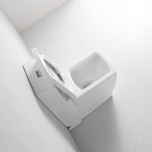 DITAO WC en céramique CUPC, cuvette carrée monobloc avec chasse d'eau à siphon, système de chasse Map, 1000g, vanne de remplissage de haute qualité - Product Image 2