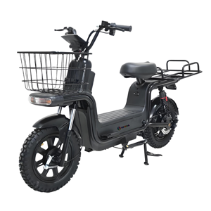 Vélo Électrique de Ville 48V 1000W pour Livraison Alimentaire, Vélos <span class=keywords><strong>Cargo</strong></span> Électriques de Longue Distance pour la Livraison - Product Image 6