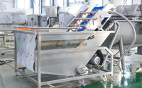 2000Kg/u Groentebladeren Reinigings- en Wasmachines Spinazie Snijmachine Groente Droogmachine Productielijn voor Verse Salades