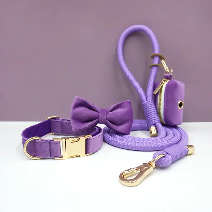 Wholesale Heavy Duty Nylon Dog Leash Set with Velvet Pet Collar Bow Tie & Poop Bag Holder Luxury Pet Lead & Accessories
