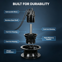 Bomba Sumergible de Flujo Axial Especializada de 160kW, Bomba de Agua de Hélice de Alta Capacidad para Sistemas de Refrigeración de Plantas de Energía, 380V