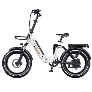 EU/US Stock 1000W 48V V20 Folding Electric Hybrid <strong>Bike</strong> Cheap 750W 73 Removable Battery Fat Tire Mountain City Dirt E <strong>Bikes</strong> for - Product Image 1