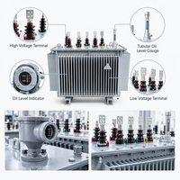 Transformateurs immergés dans l'huile MV/HV à trois phases, 750 kVA, 1000 kVA, hermétiques, livraison gratuite