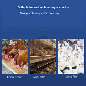 Mangeoire de ferme de poulet Chariot d'alimentation électrique Cage de poulet de chair Mangeoire automatique - Product Image 2