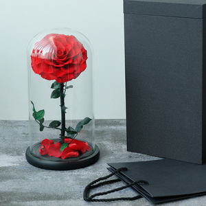 Regalos Tallo largo Rosa eterna Preservada Naturaleza fresca real <span class=keywords><strong>Amor</strong></span> para siempre Flor preservada en cúpula de vidrio Rosa preservada al por mayor - Product Image 4