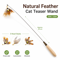 Bâton de jeu professionnel pour animaux de compagnie avec tête interchangeable et fil d'acier pour l'approvisionnement mondial, ensemble de jouets pour chat, jouet pour chat