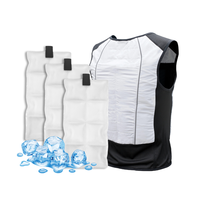 Gilet de refroidissement PCM réutilisable Summer Wholesale Hot Ice Pad Cold Back pour la thérapie par le froid