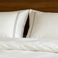 Ensemble de literie d'hôtel de luxe minimaliste en coton 100% brodé, 4 pièces, haute densité de fils, housse de couette, drap, taies d'oreiller