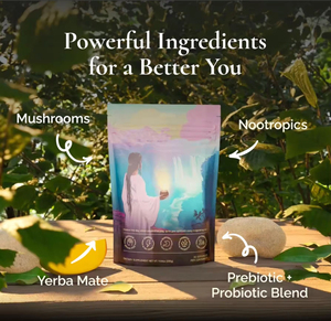 Polvo <span class=keywords><strong>de</strong></span> <span class=keywords><strong>Yerba</strong></span> <span class=keywords><strong>Mate</strong></span> <span class=keywords><strong>de</strong></span> Durazno y Mango <span class=keywords><strong>de</strong></span> Origen Chino al por Mayor, OEM Personalizado, Probiótico Artesanal <span class=keywords><strong>de</strong></span> Baja Temperatura, Suplemento Dietético a Granel - Product Image 6