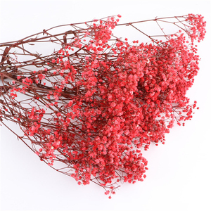 YUNNAN-ramo de flores de Gypsophile secas para bebé, granja Real Natural fresca para siempre, respiración seca - Product Image 4