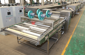 Dây Chuyền Chế Biến Mì Ăn Liền Thương Mại Chất Lượng Cao Nhà Máy Chế Biến Mì Ăn Liền Chiên - Product Image 4