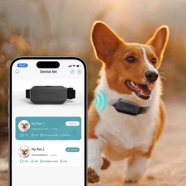 Omni Real-time Tracking 2G 3G 4G Wireless Waterproof Anti Lost Locator Dog Smart GPS Tracker Collar for Pets