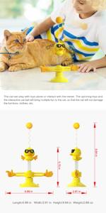 Juguetes para Gatos y Pelota Interactiva con Diseño de Dibujos Animados - Product Image 5