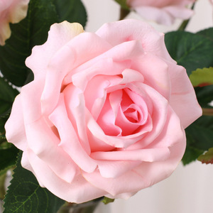 Di alta qualità 10cm reale tocco bagnato <span class=keywords><strong>rose</strong></span> di feltro per la decorazione della casa per la laurea di natale Halloween capodanno o pasqua - Product Image 6