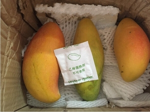 Morden & safe ethylene mango matener banana matener etilene - Product Image 4