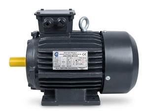 มอเตอร์ไฟฟ้า 2 แรงม้า 2880 รอบต่อนาที 2 โพล สามเฟส แบบติดตั้งบนฐาน สำหรับงานหนัก มอเตอร์ไฟฟ้ากระแสสลับ มอเตอร์เหนี่ยวนำ มอเตอร์โรงงาน - Product Image 3