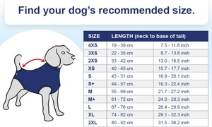 QQgift 2025 nuevo Mono de lujo <span class=keywords><strong>para</strong></span> <span class=keywords><strong>perros</strong></span> OEM logotipo personalizado <span class=keywords><strong>camisa</strong></span> médica de Cirugía de recuperación profesional <span class=keywords><strong>para</strong></span> recuperación postquirúrgica de <span class=keywords><strong>perros</strong></span> - Product Image 2