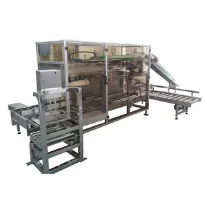 Shuhe High Quality Automatic Bags And Carton Case Packer Line Drop Loading Case Packer For Bags