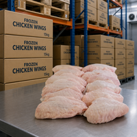 Alas de Pollo Halal Congeladas al por Mayor, IQF para Exportación, Carne de Aves de Corral de Primera Calidad, Suministro de Fábrica