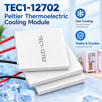 Module de refroidissement thermoélectrique Peltier TEC1-12702 12V 2A 30*30*3.5mm pour réfrigérateur de beauté et refroidisseur de téléphone