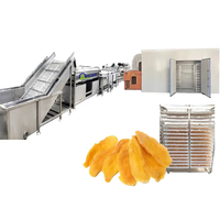 Automatische Gedroogde Groente Fruit Gesneden Mango Papaja Palm Dadelcurcuma Abrikozen Chips Making Machine